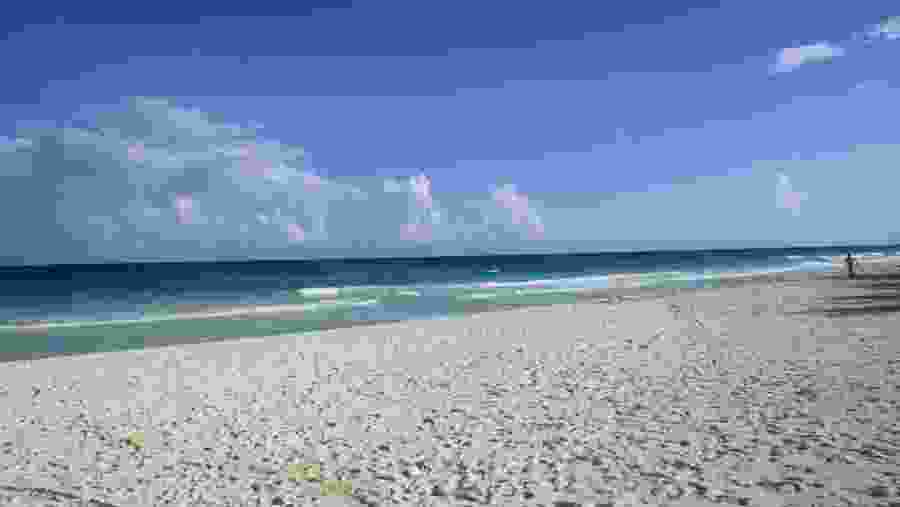 The Beach in Mexico