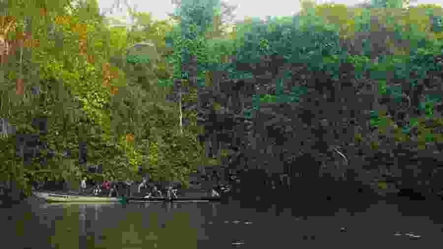 Cuyabeno Amazon Adventure