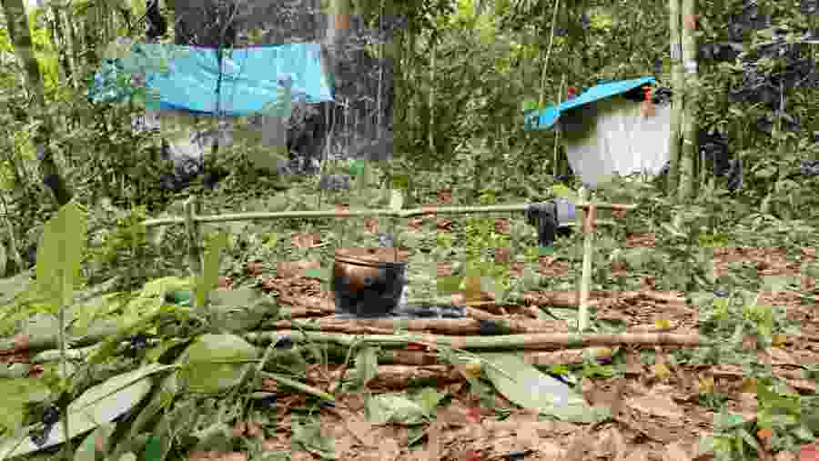 Nauta Jungle Tour