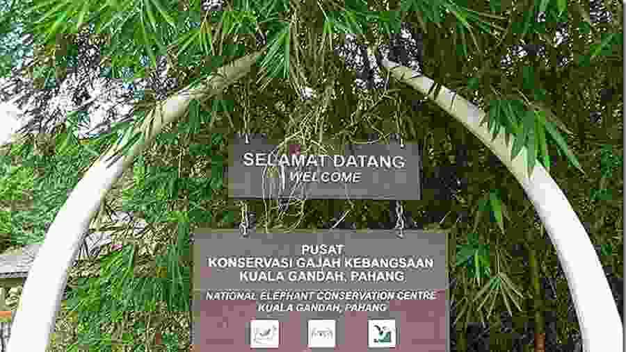 Elephant Sanctuary