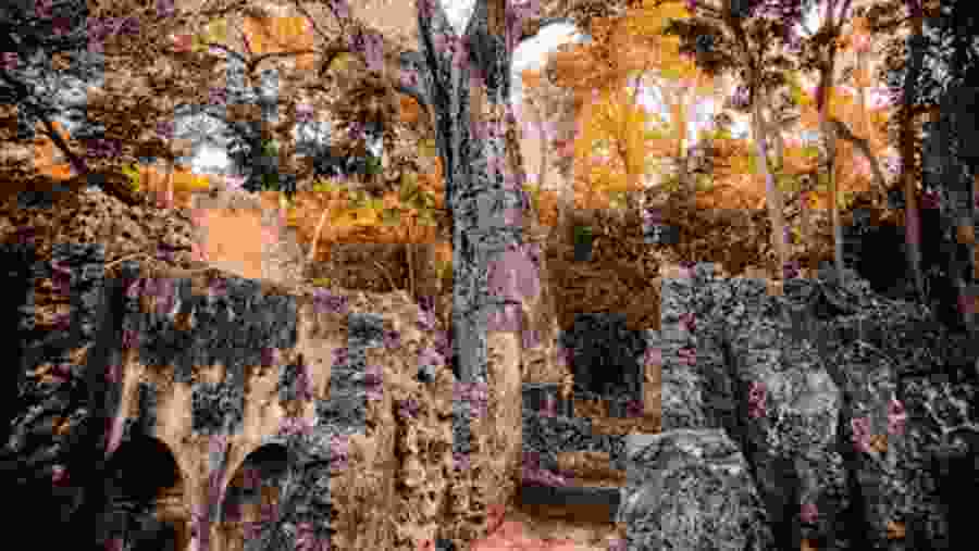 Gede Ruins Malindi... Snake Park