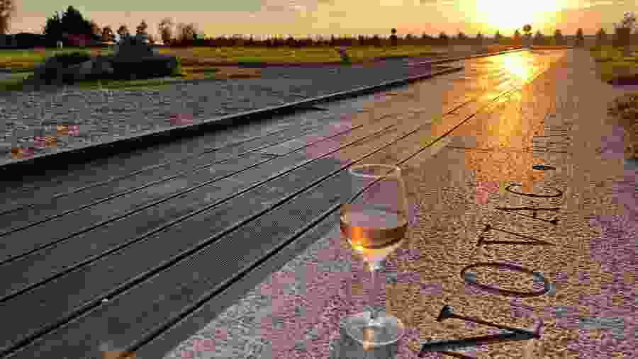 Winetasting