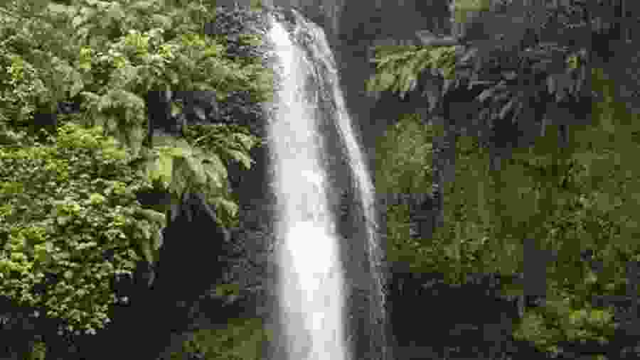 Spot the scenic waterfalls at Amber Mountain