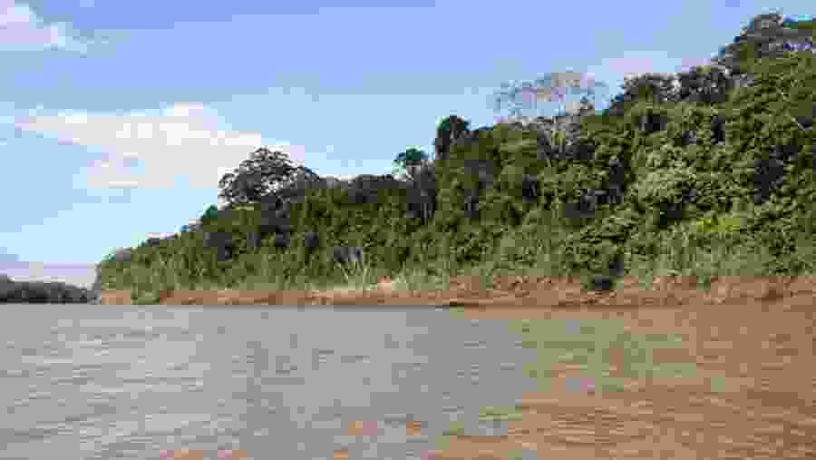 Tambopata River