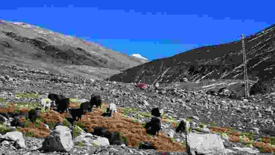 Gilgit