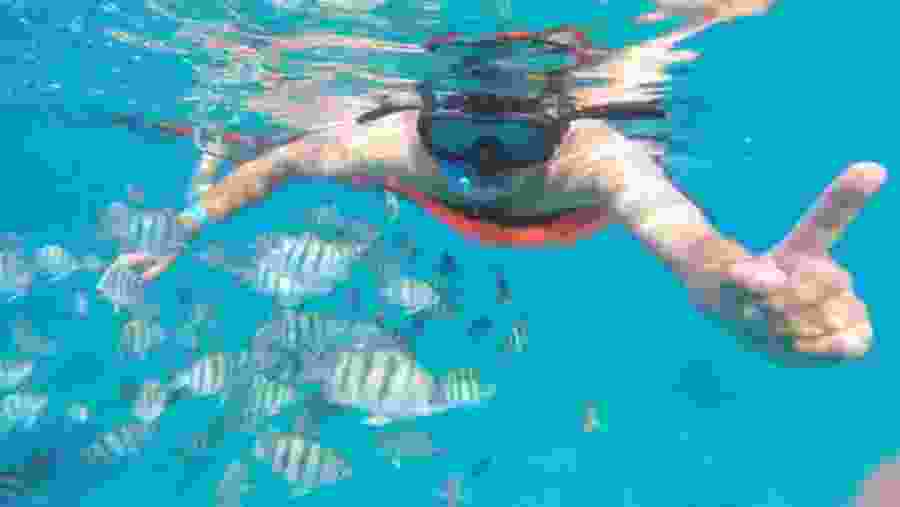 Underwater Experience