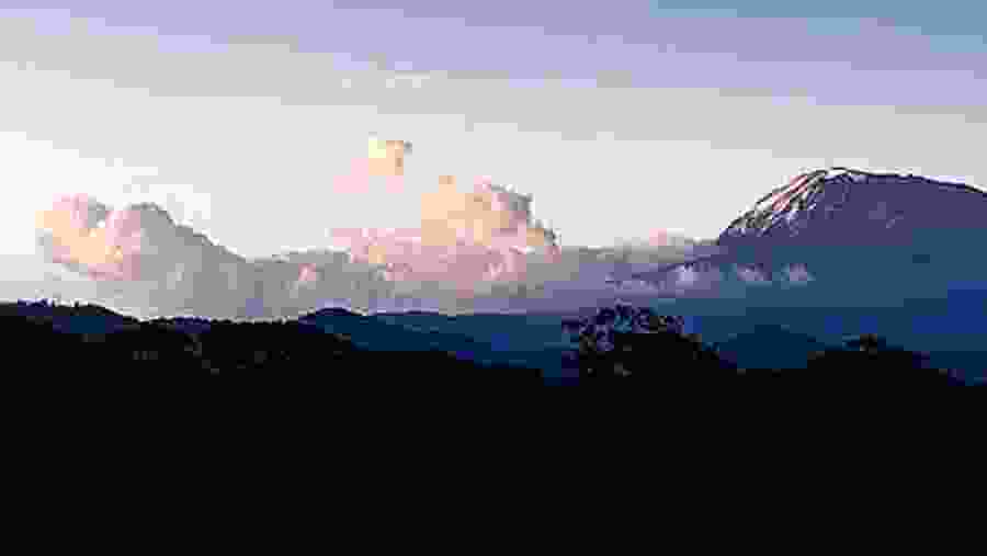 Mount Kilimanjaro views