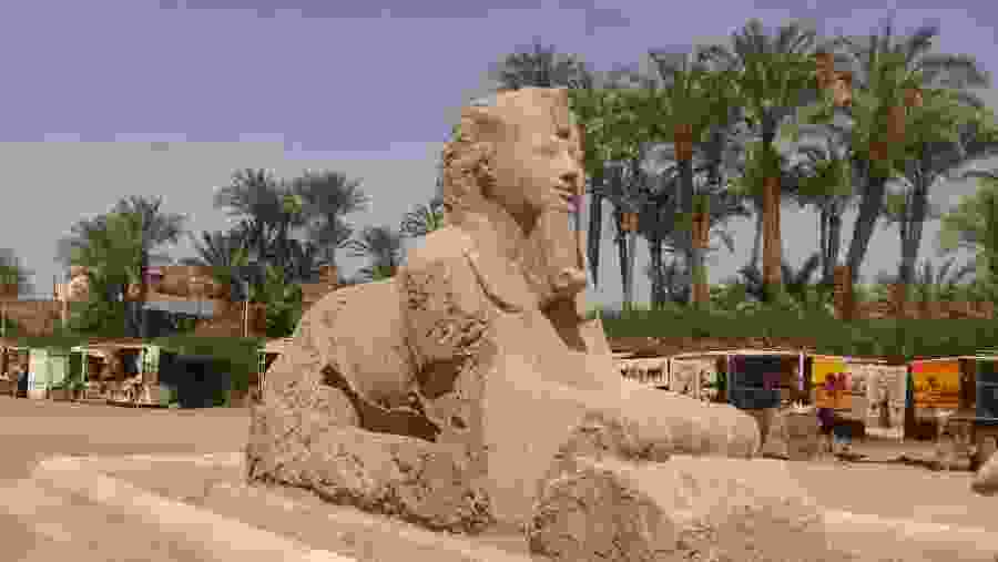Sphinx of Memphis