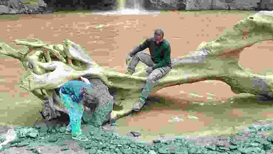 Craters, Canopies & Cultures