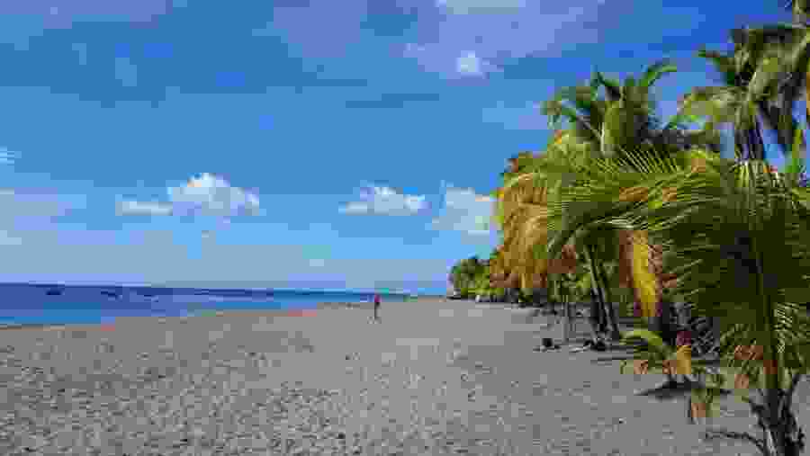 A sunny day at the beach