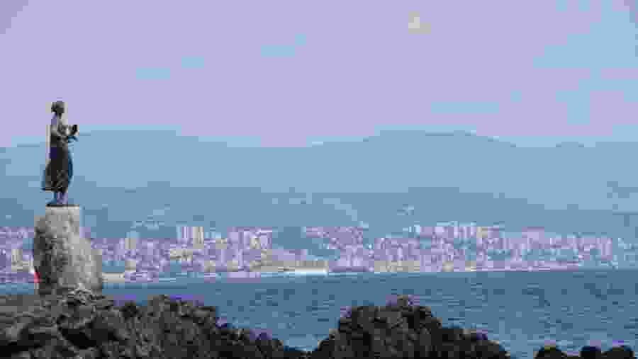 Maiden with the Seagull