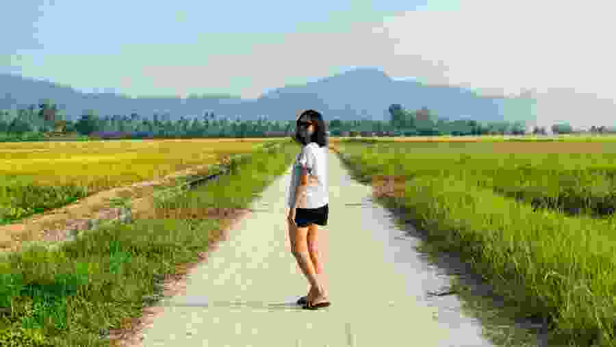 Taking a walk through farmlands