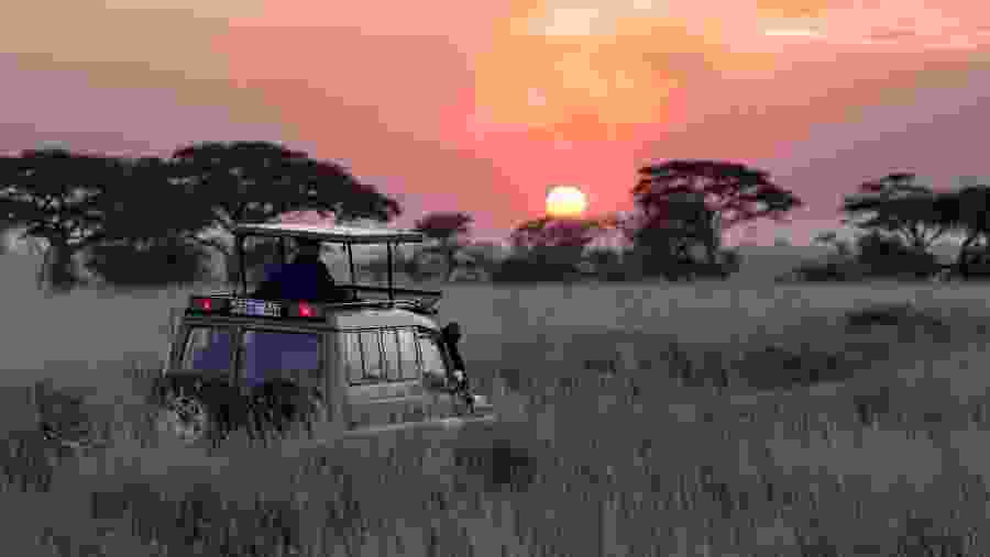 View from Safari while Sunset
