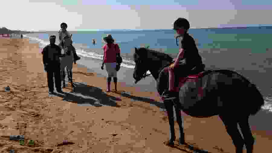Horse riding on the beach