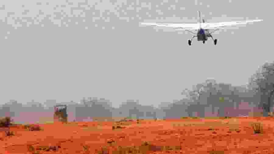 Safari Experience