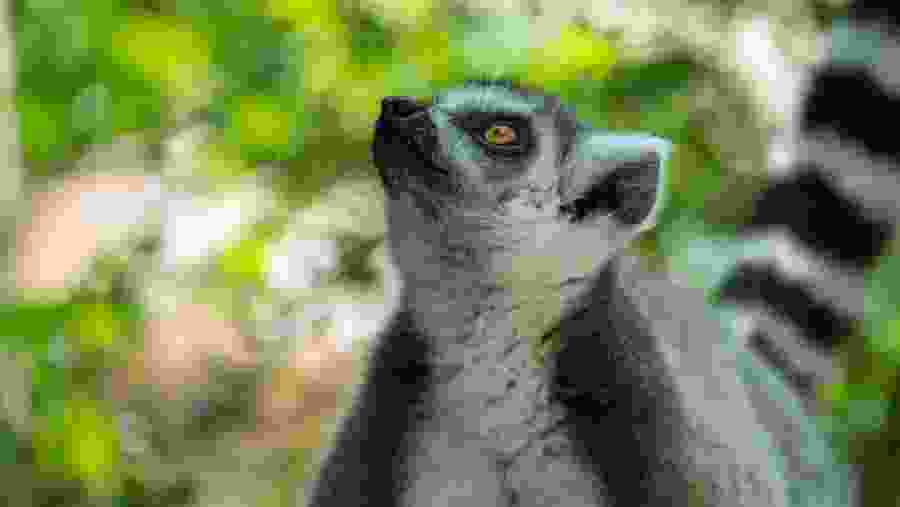 Discover South Of Madagascar