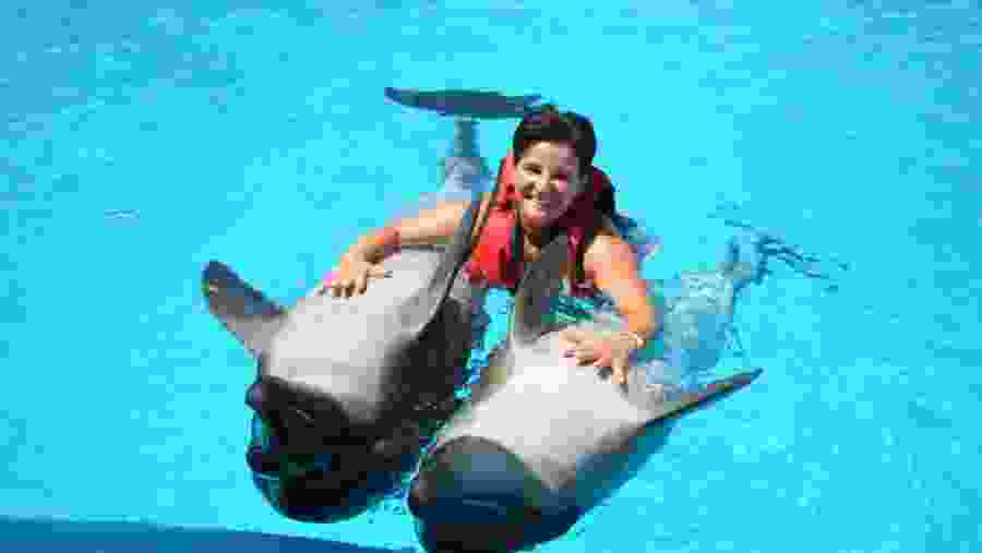 Travelers at the Dolphin World