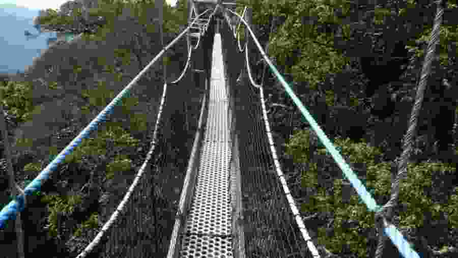 Canopy Walkway