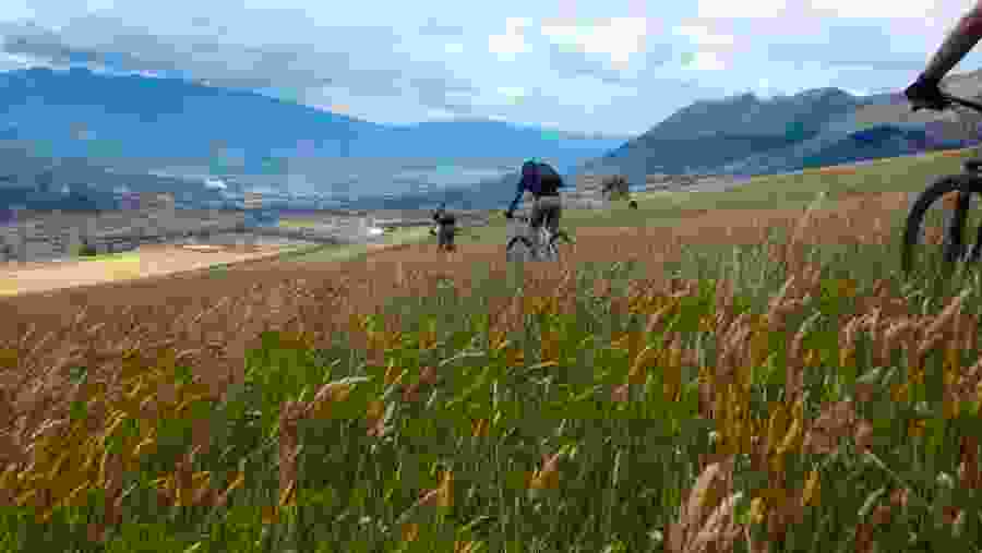 Cycling tour