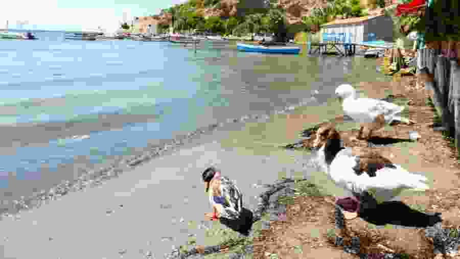 Doganbey Village