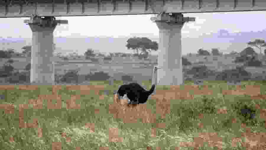 Nairobi National Park