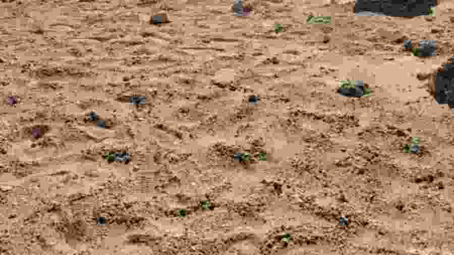 Ras Mohamed Nature Reserve