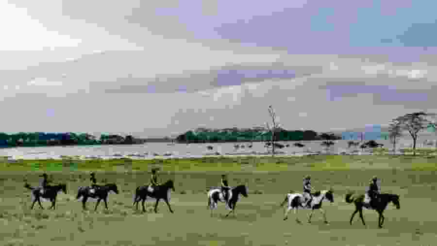 Horse Riding at the Sanctuary Farm