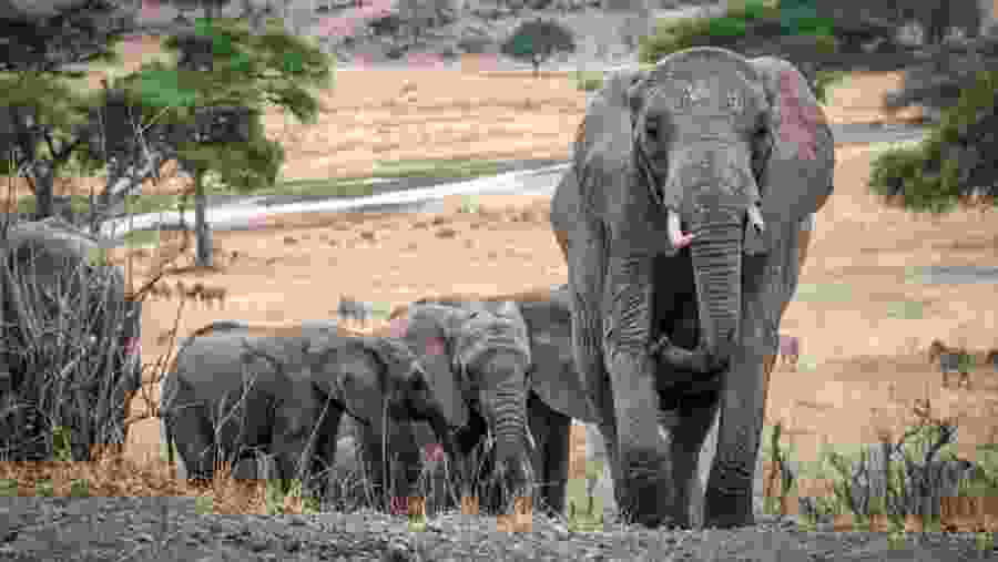 Serengeti National Park