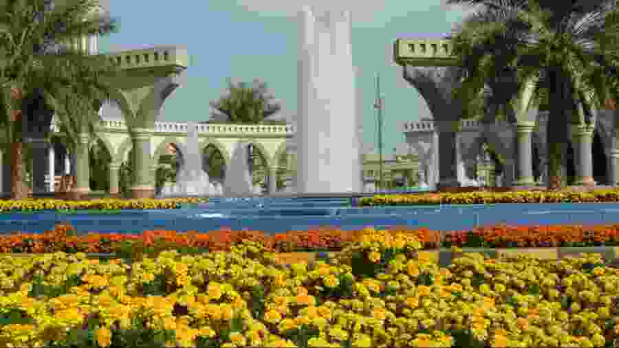 the floral bonanza
