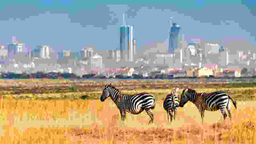Nairobi National Park