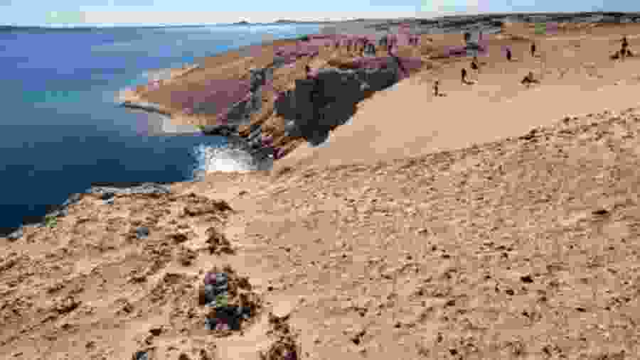 Ras Mohamed Nature Reserve