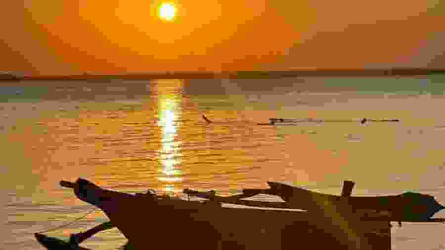 Experience a majestic sunset cruise at Dhow