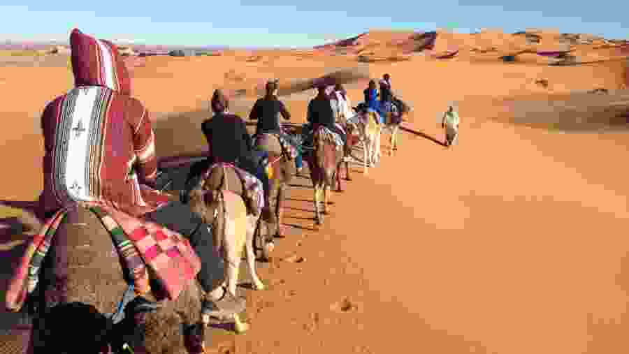 Camel Ride in the Merzouga Desert