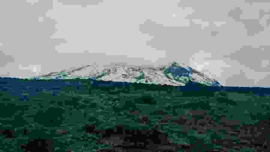 Kilimanjaro
