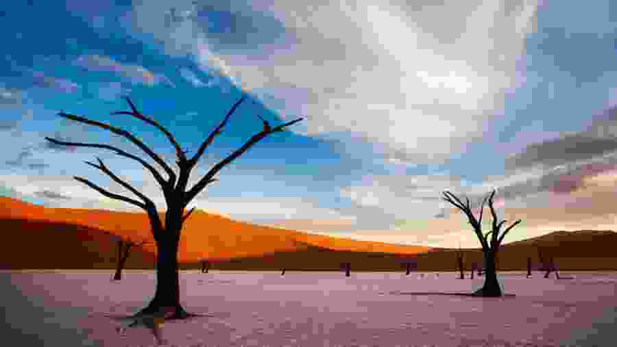 Dead Vlei, Namibia
