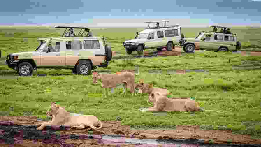 Embark on a fun jeep safari