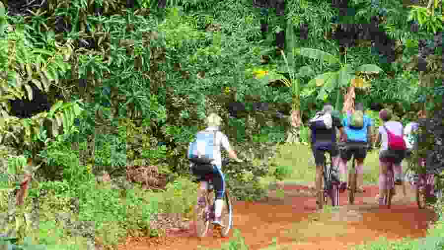 Kizimbani Spice Plantation
