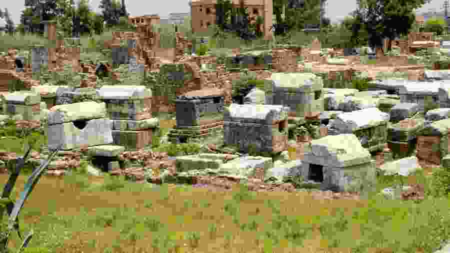 Visit the necropolis of Tyre