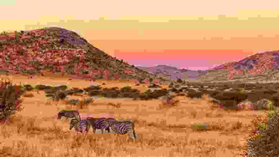 Explore the wildlife at Pilanesburg National Park