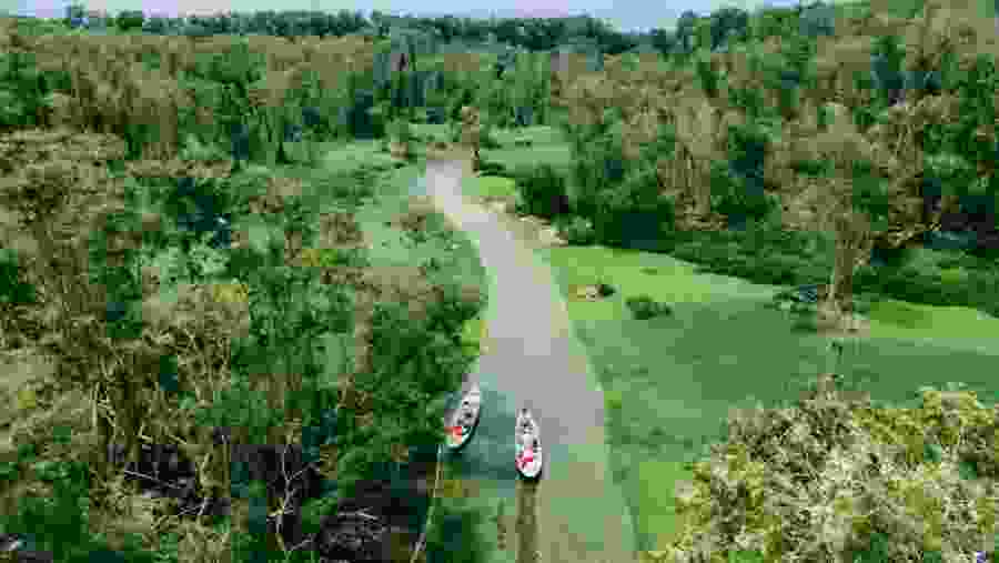 Tra Su Cajuput Forest