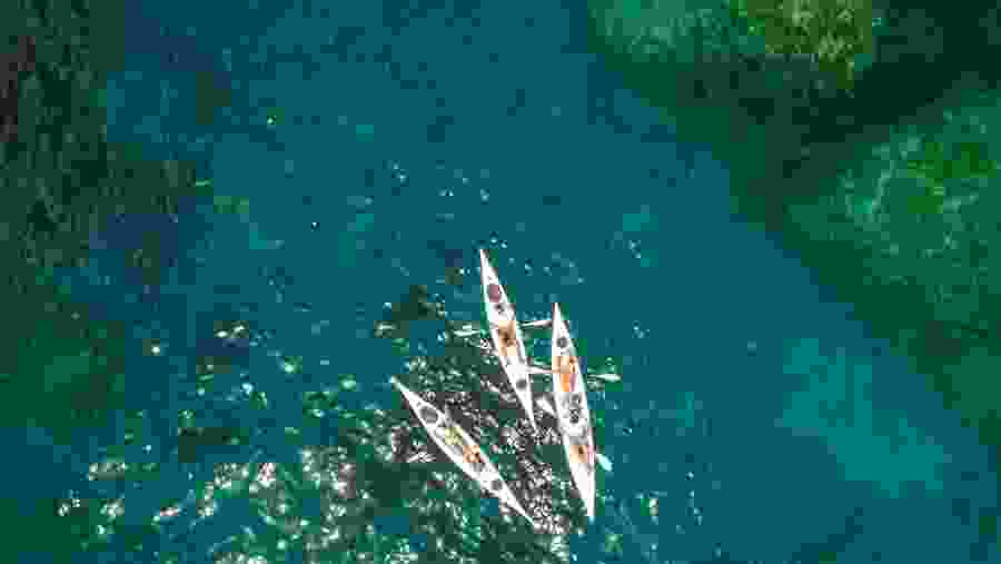 Kayak