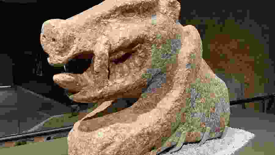 Private gobeklitepe and urfa museums tour