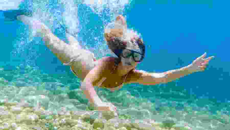 Travelers in the Red Sea
