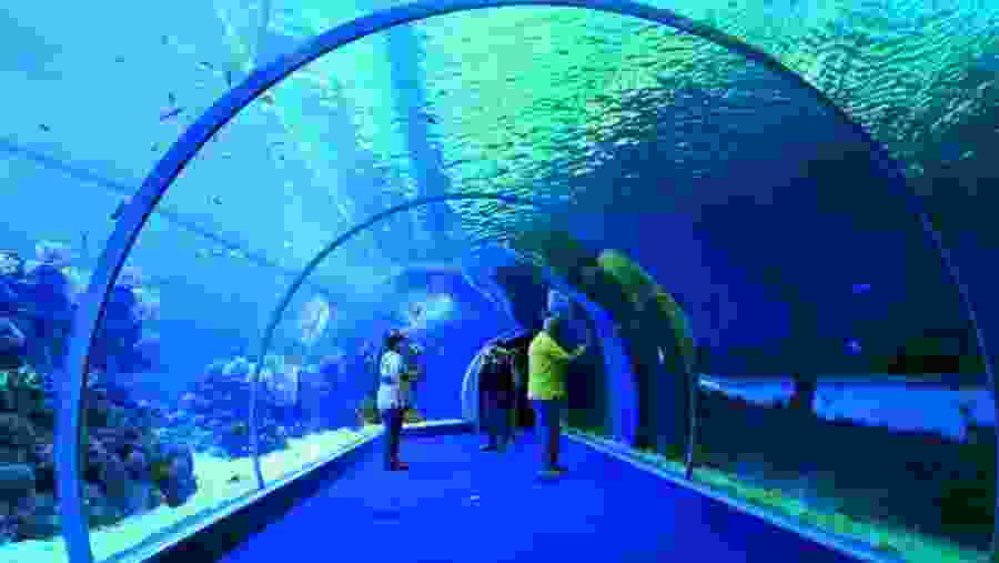 Underwater observatory