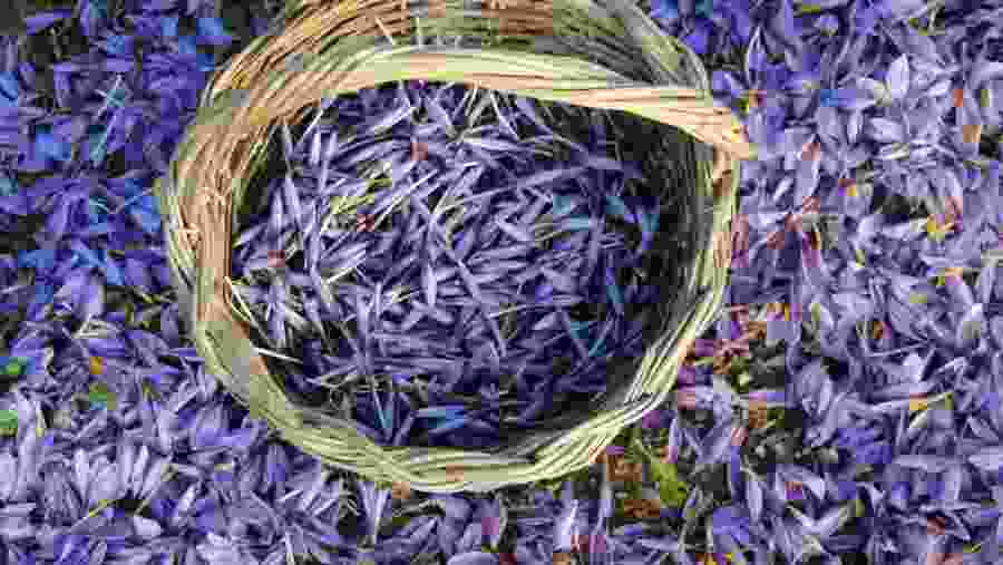 Saffron Basket