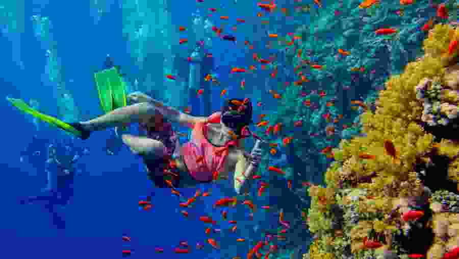 Blue Lagoon - Snorkelling trip