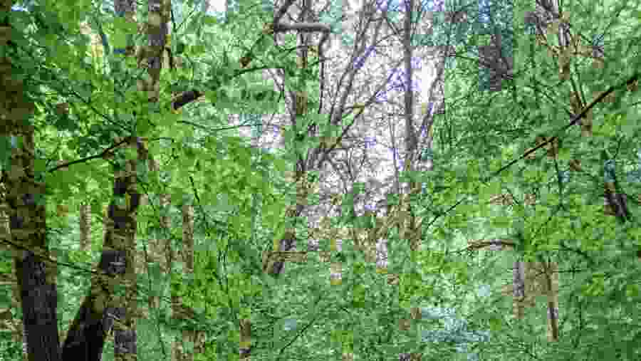 Terres Rouges