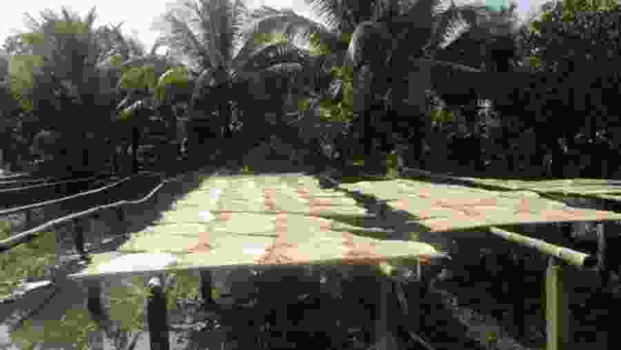 Mekong Delta Day Trip to Cai Be