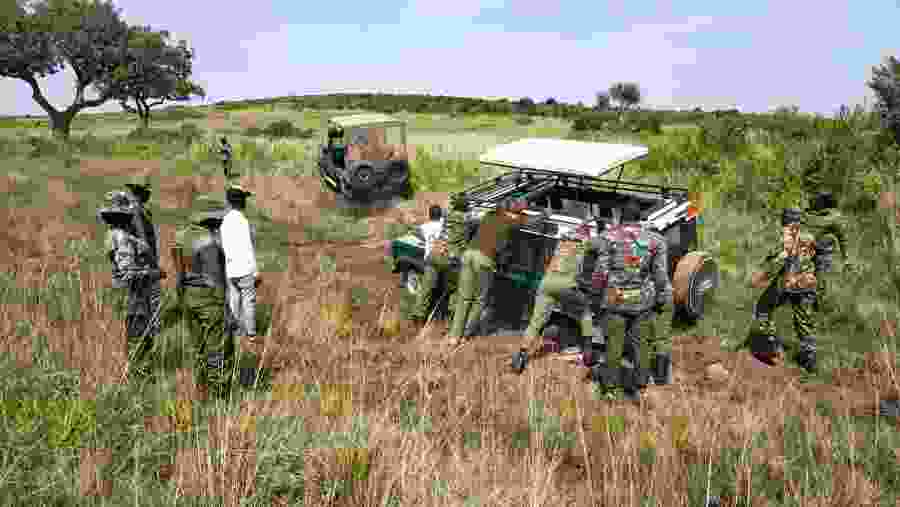 Jeep Safari