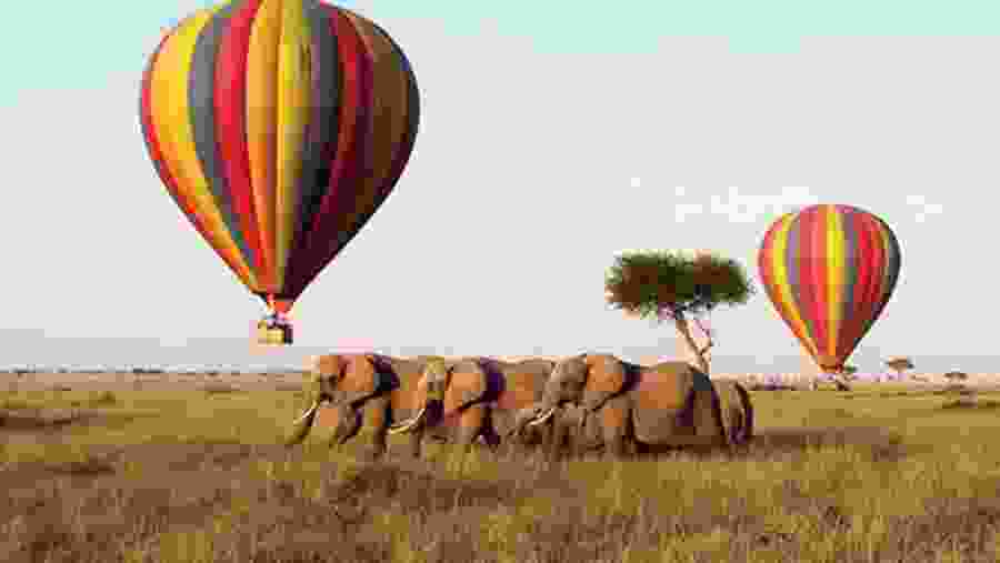 Balloon Safari at Masai Mara